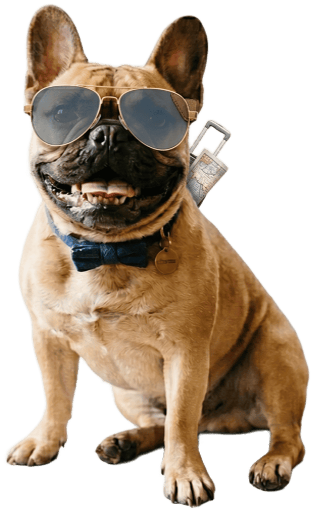 perro cta